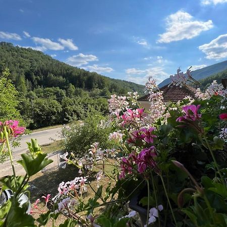 Mokra Gora Central Apartments エクステリア 写真