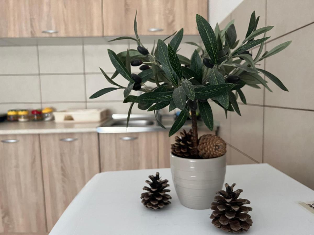 Mokra Gora Central Apartments エクステリア 写真